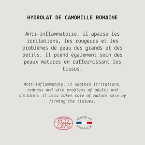 Hydrolat de camomille romaine - 100 ml