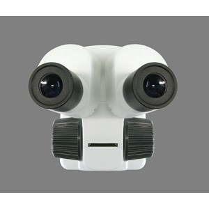 Microscope 20x stéréo pour enfant