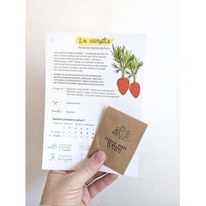 Sachet de graines - carotte ronde