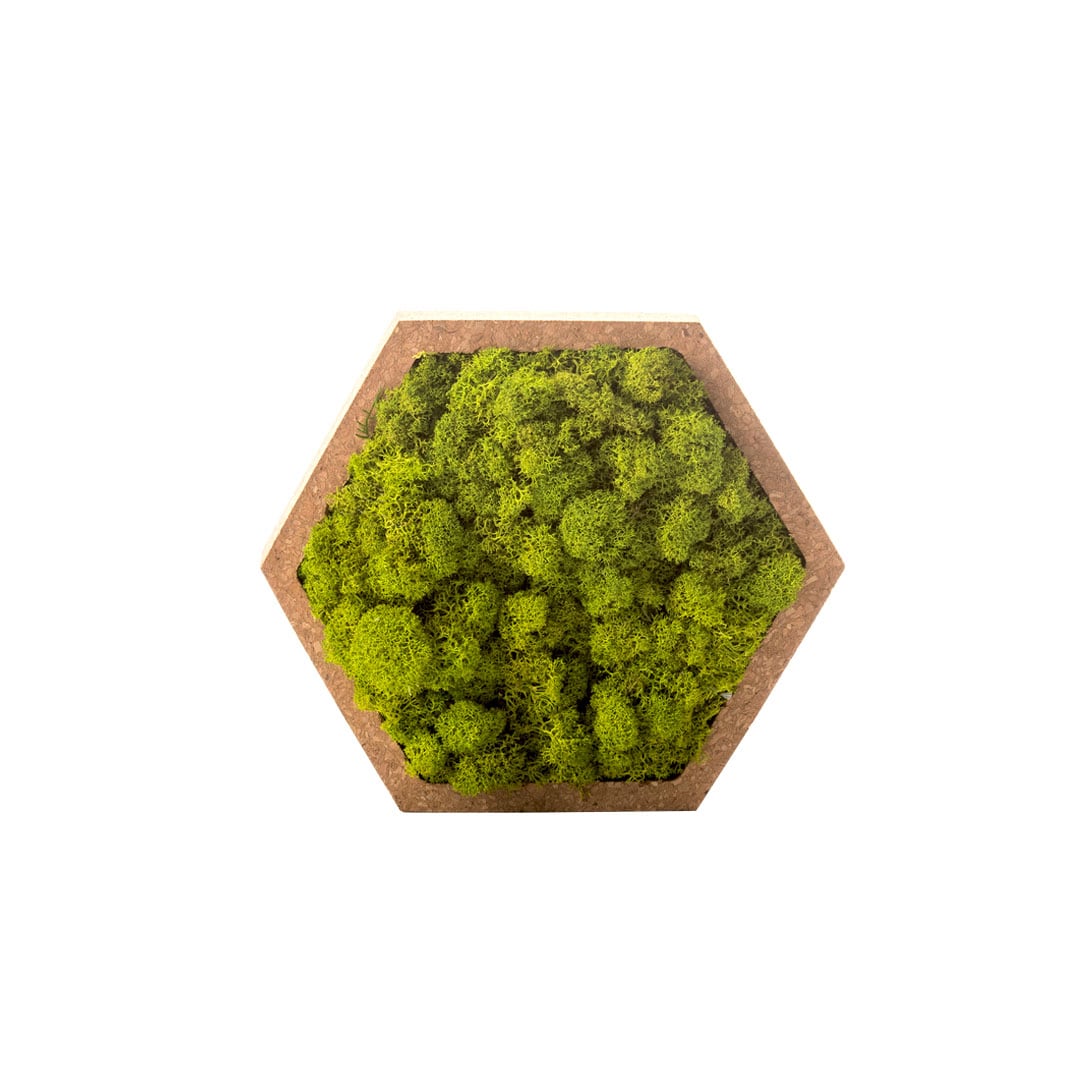 Tableau stabilisé hexagonal : déco intérieure naturelle
