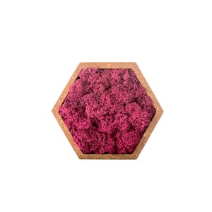 Stab lichen hexagonal rose 16 x 16 cm