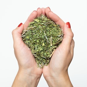 Infusion bio verveine, romarin (sachets)
