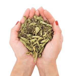 Infusion bio verveine, menthe (sachets)