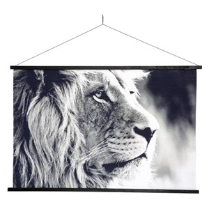 Tableau toile lion 73x110 cm