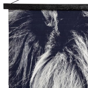 Tableau toile lion 73x110 cm