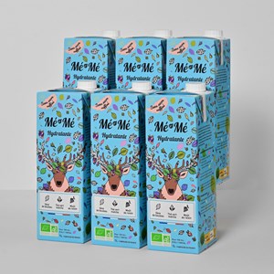 Thés glacés bio hydratantes 1l x6