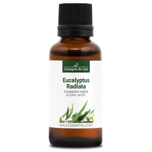 Eucalyptus radiata - huile essentielle bio - 30ml garantie chromacert® - chémoty