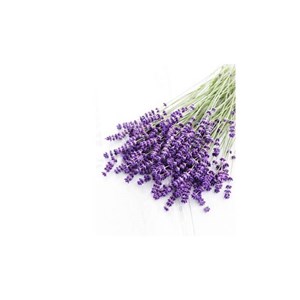 Lavande vraie - huile essentielle bio - 100ml garantie chromacert® - chémotypée