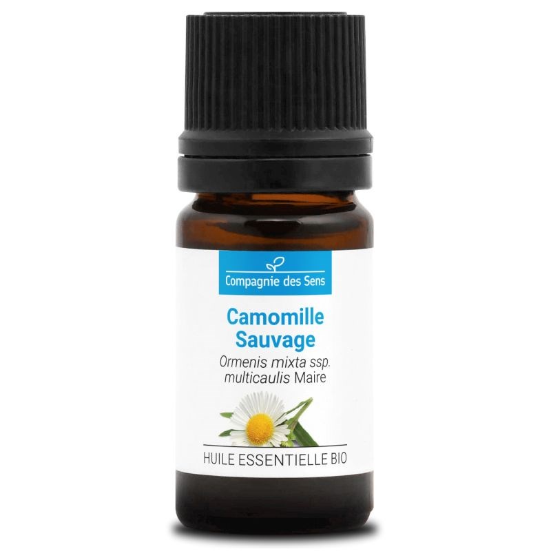 Camomille sauvage - huile essentielle bio - 5ml garantie chromacert® - chémotypé
