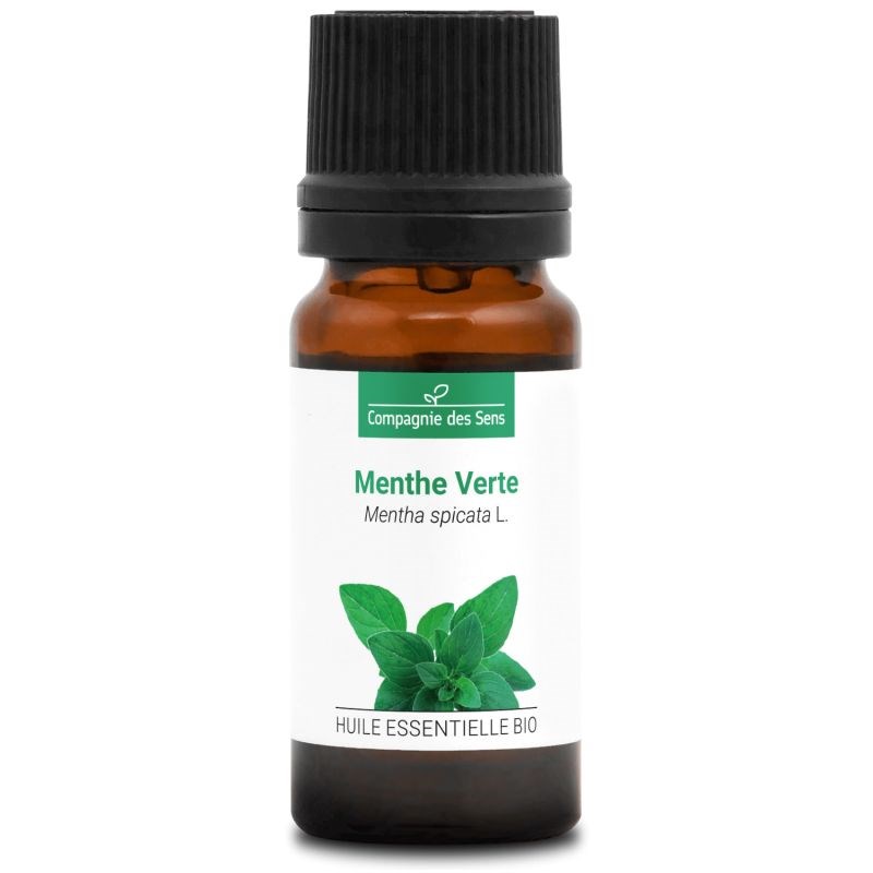 Menthe verte (mentha spicata) - huile essentielle bio - 10ml garantie chromacert
