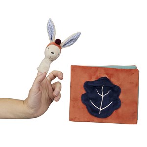 Album photo gabin lapin