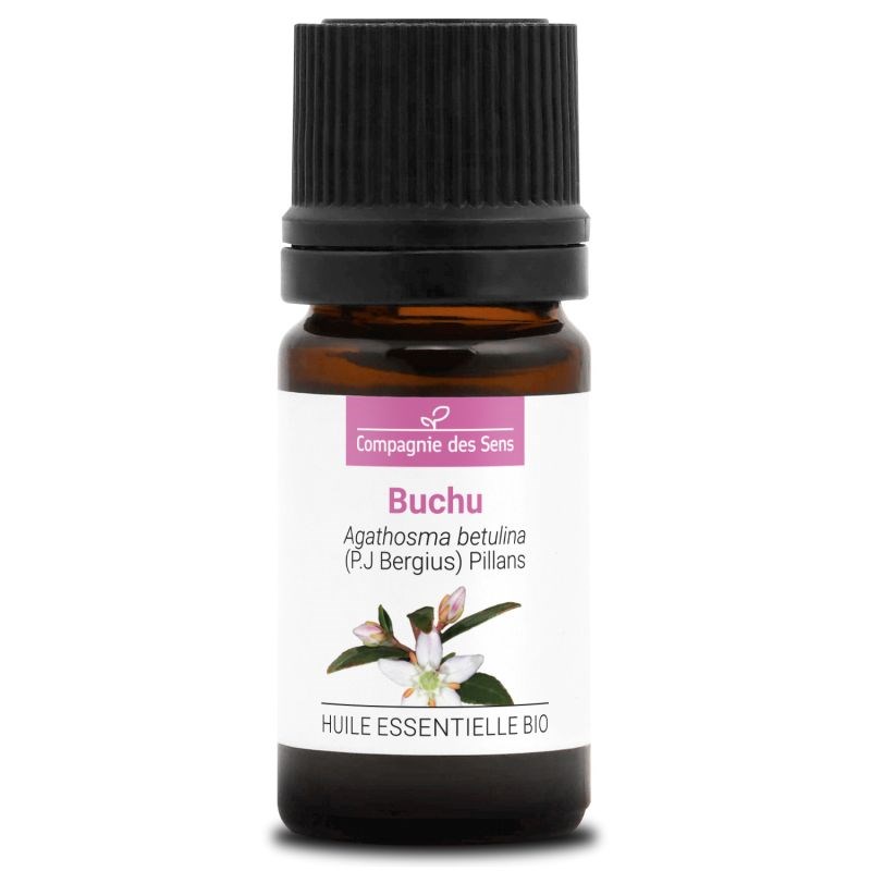 La Compagnie des Sens - Buchu (agathosma betulina) - huile essentielle bio - 5ml garantie chromacert® -