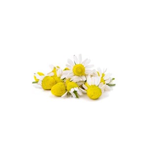 Camomille matricaire - huile essentielle bio - 5ml garantie chromacert® - chémot