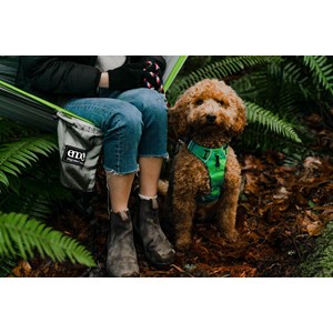 Hamac solo bivouac camping - gris   vert