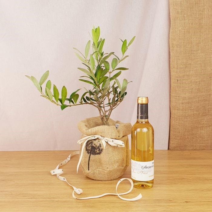 Com'La Nature - Coffret l'olivier, et le monbazillac bio