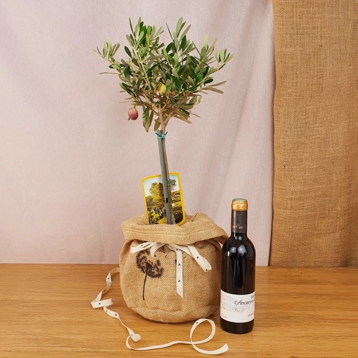 Com'La Nature - Coffret grand olivier, et vin rouge bio