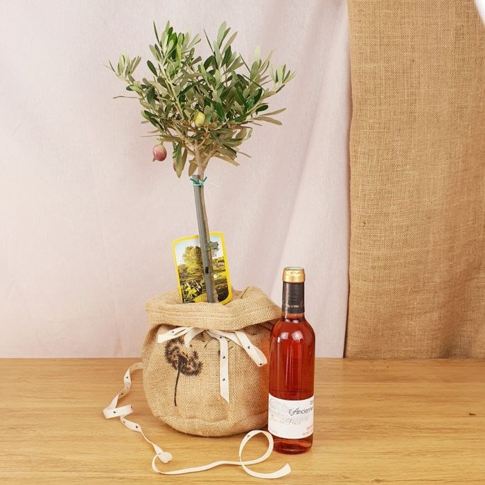 Com'La Nature - Coffret grand olivier, et vin rosé bio