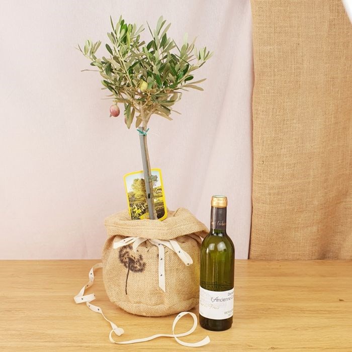 Com'La Nature - Coffret grand olivier, et vin blanc bio