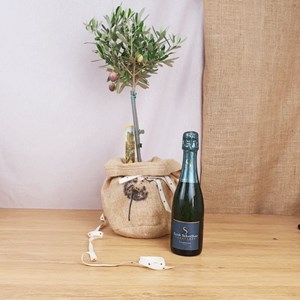Coffret grand olivier, et champagne bio
