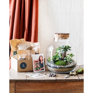 Kit terrarium diy - acapulco