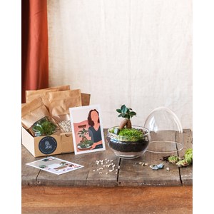 Kit terrarium diy - bohol