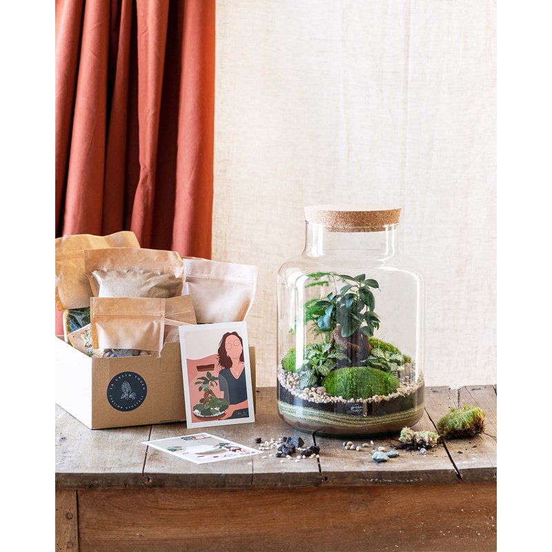 Terrarium plante kit Nature & Découvertes