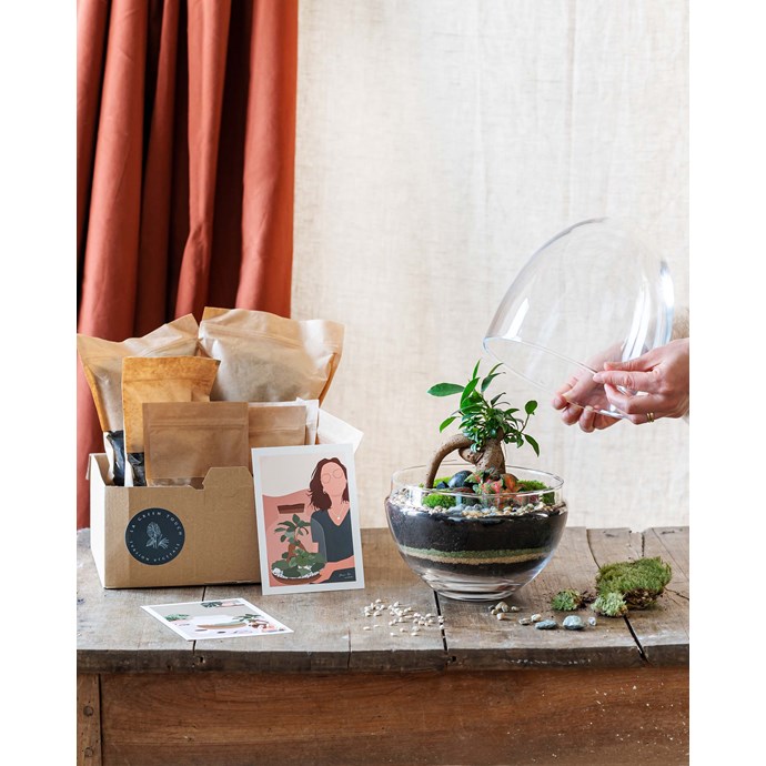 Kit terrarium diy grand bohol Nature & Découvertes