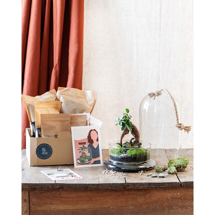 Kit terrarium diy siquijor Nature & Découvertes