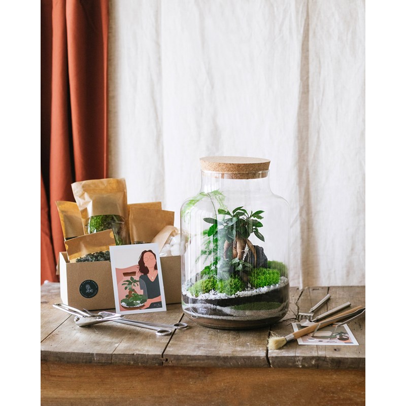 Terrarium plante kit Nature & Découvertes