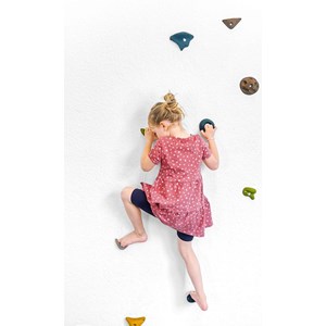 Pierres d'escalade adventure