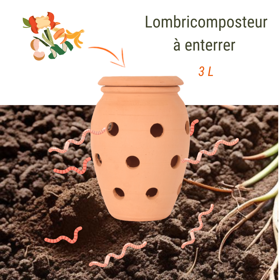 Vers de compost pour lombricomposteur - 500 g. –