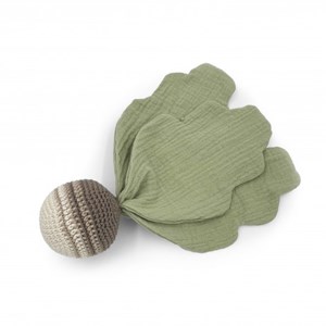 Coffret green veggy