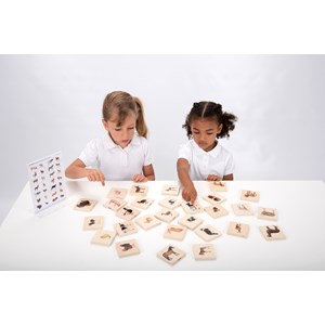 Memory animaux domestiques