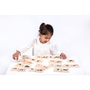 Memory animaux domestiques