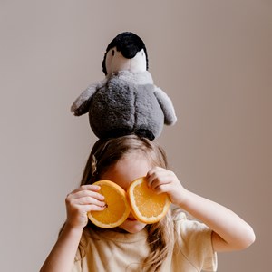 Peluche bouillotte pingouin warmies