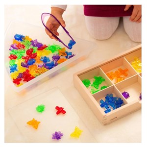 12 pinces colorées translucides