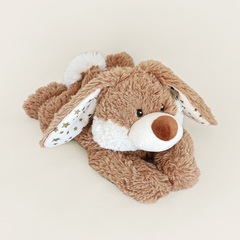 Peluche bouillotte lapin etoile warmies