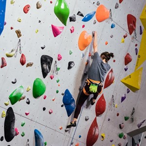 Sac à magnésie t-rex – pour l’escalade