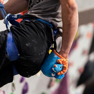 Sac à magnésie tricératops – pour l’escalade