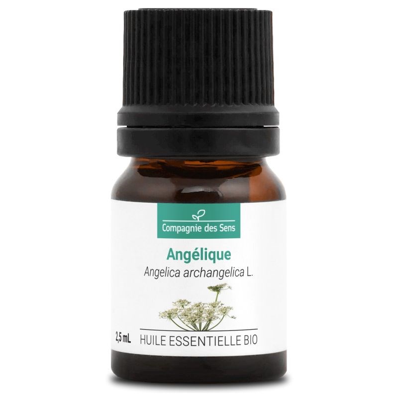 Angélique (angelica archangelica) - huile essentielle bio - 2.5ml garantie chrom