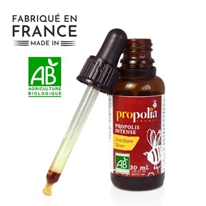 Trésors de la ruche