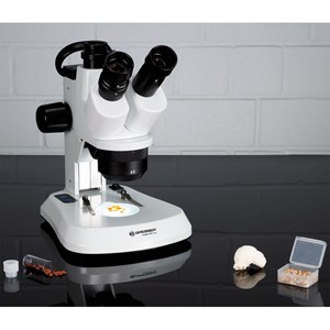 Microscope stéréo analyth str trino 10x-