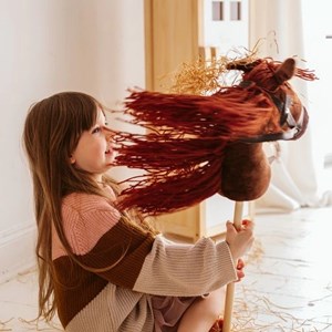 Tête de cheval brun à chevaucher