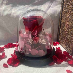 Rose éternelle sous cloche - alwal