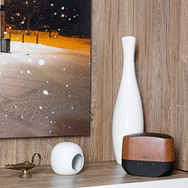 Diffuseur airom effet bois