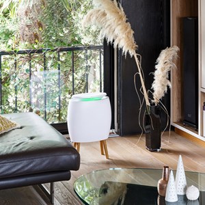 Purificateur d'air connecté lendou