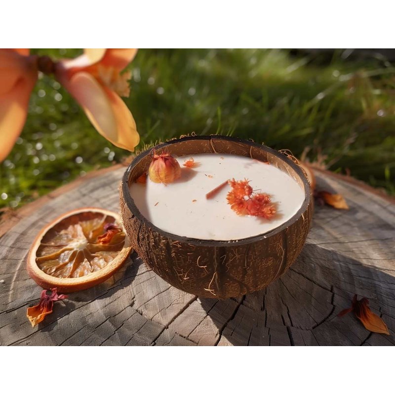 Bougie qui devient plante fleur oranger