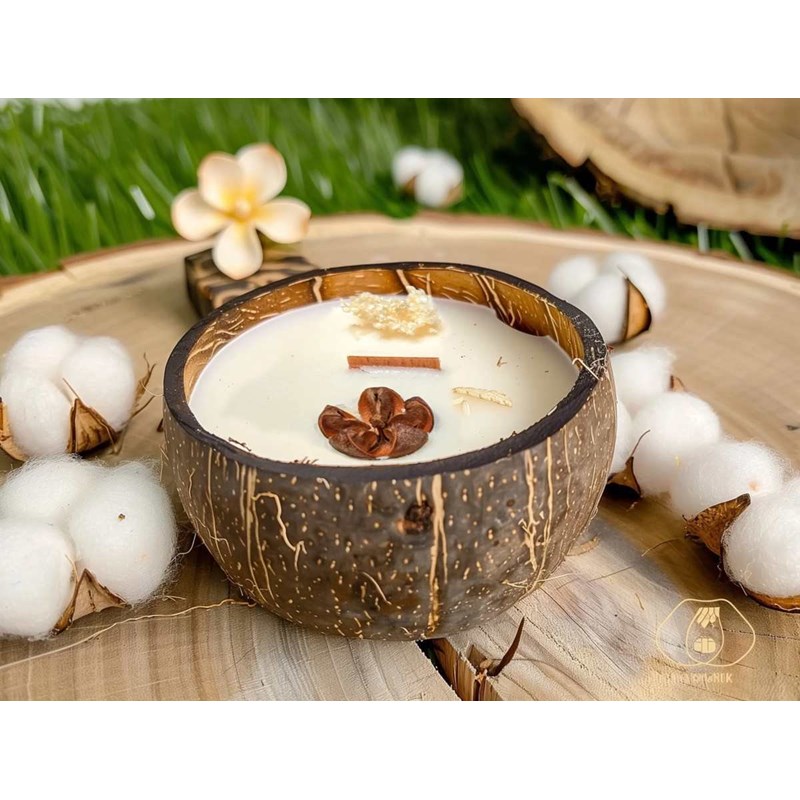 Bougie qui devient plante fl. Coton