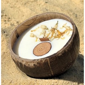 Bougie qui devient plante fl. Coton