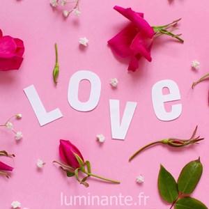 Bougie qui devient plante pomme amour